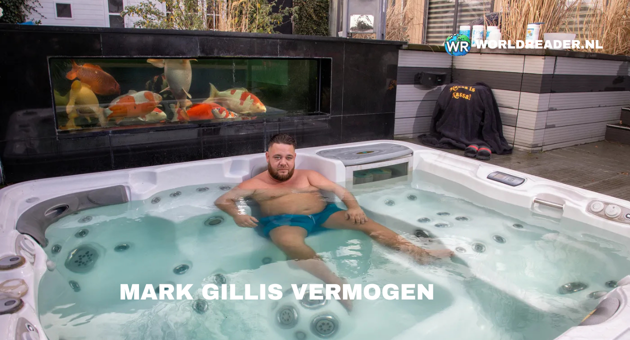 mark gillis vermogen